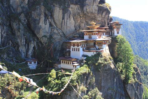 中国有多少人在不丹留学了